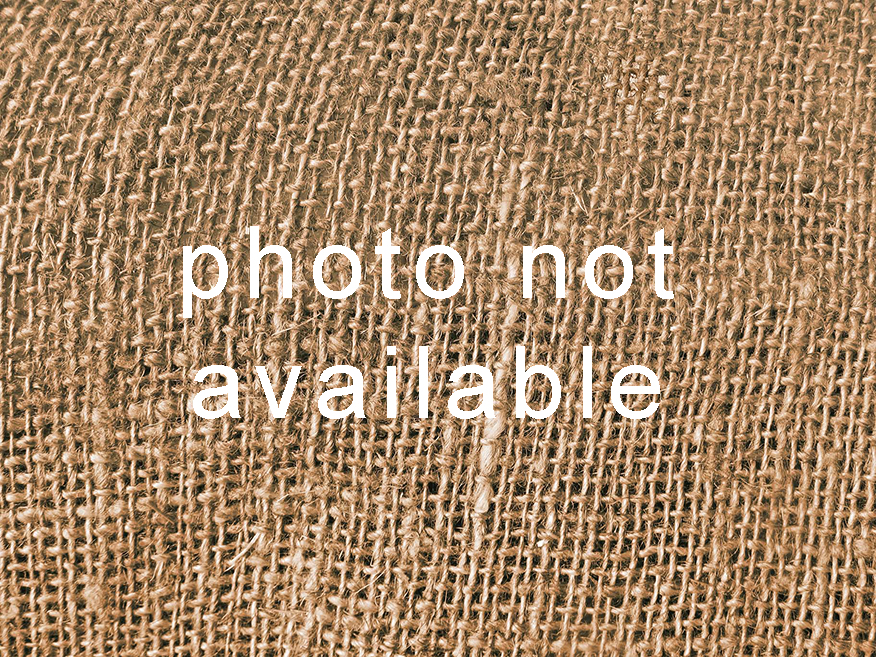 Photograph is not currently available