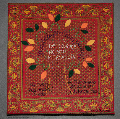 Los Bosques no son mercancía / The forests are not for sale 