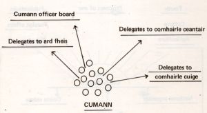 cumann structure